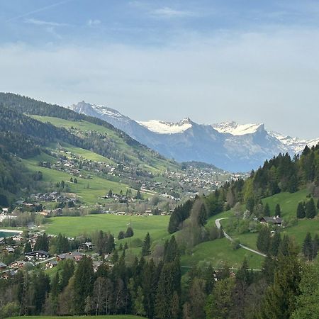 Chalet Saint Victor, Praz Sur Arly Zewnętrze zdjęcie
